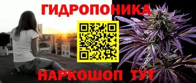 стафф Краснодар