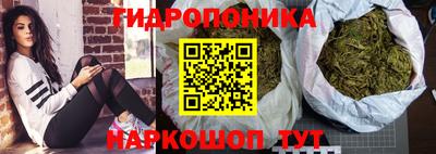 стафф Краснодар