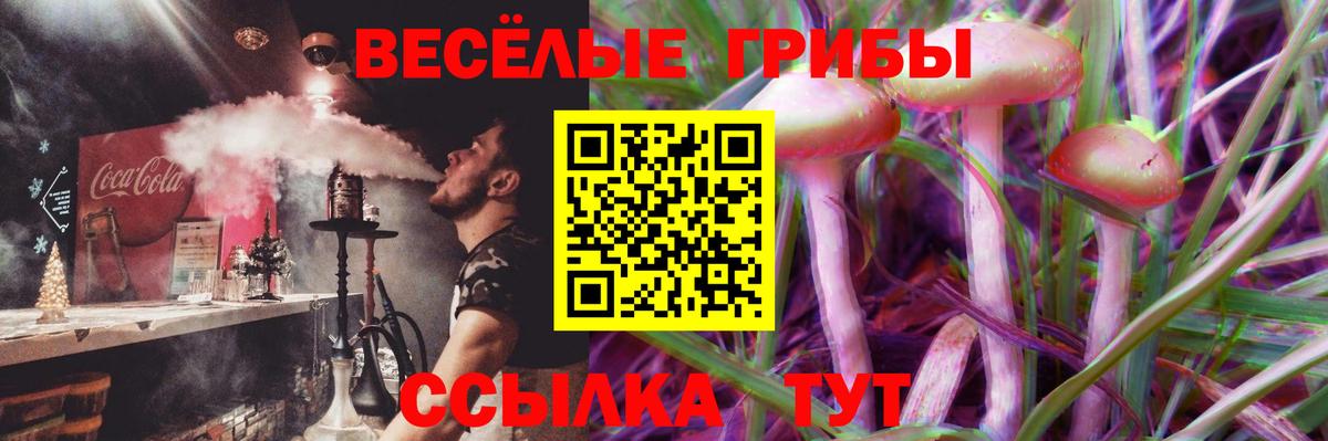 Благовещенск  Псилоцибиновые грибы Psilocybe  Вход с VPN 